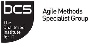 Mid 300 agile blk logo