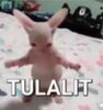 Thumb 100 img 2301