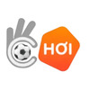 Thumb 100 cropped logo okchoi