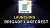 Thumb 100 brigade lakecrest logo  2 