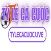 Thumb 100 500